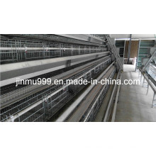 Jinfneg a Type Automatic Chicken Cage System for Poultry Farm